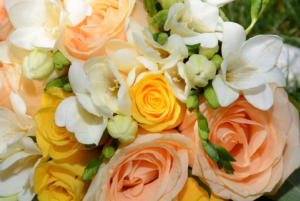 儿子贴心小暖男的朋友圈句子,朋友圈说到心坎里的经典优美句子