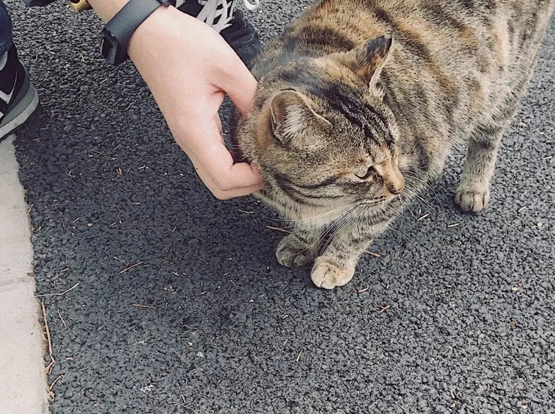 恰同学少年逐梦新时代,恰同学少年复旦大学