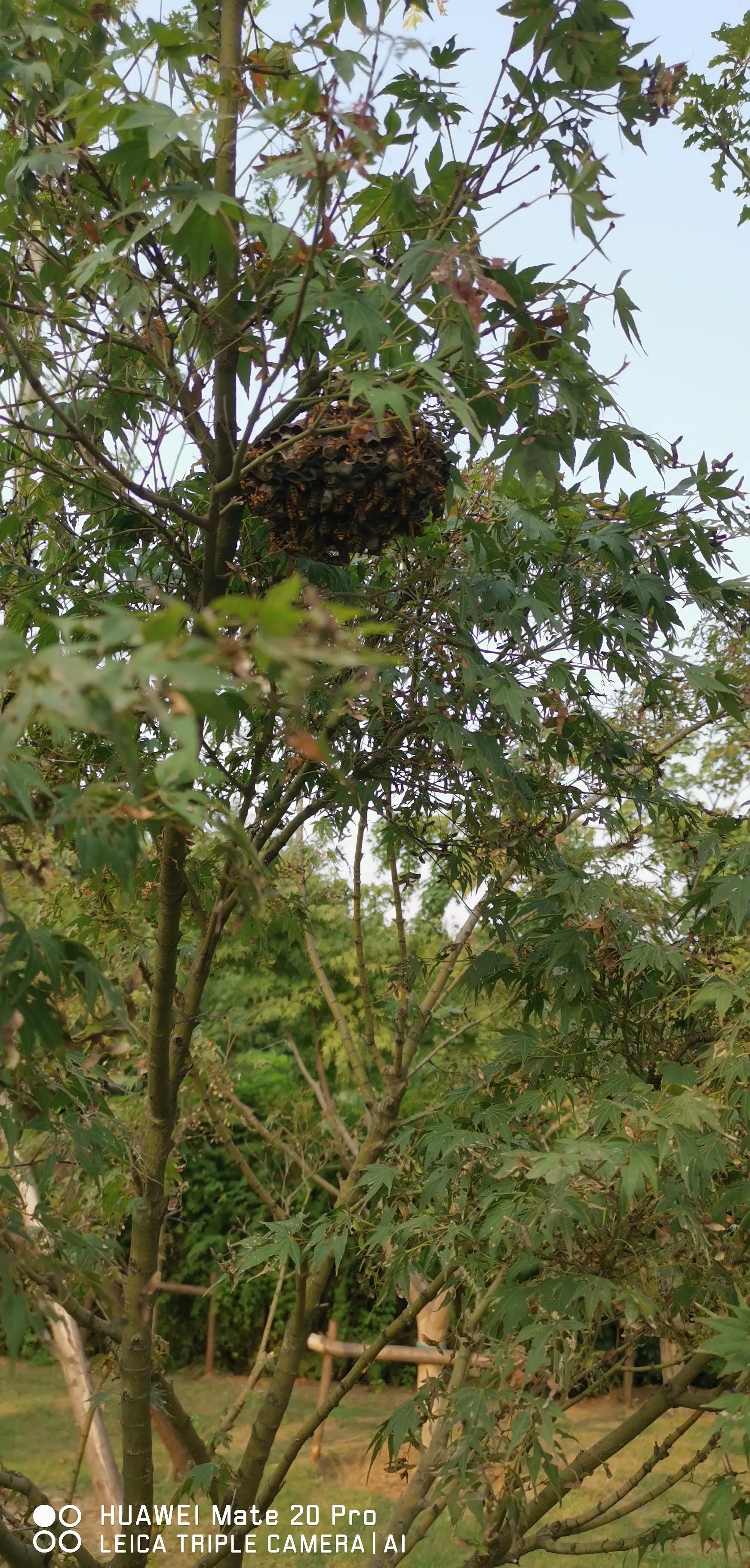 减肥第二十三天岔气扛不住