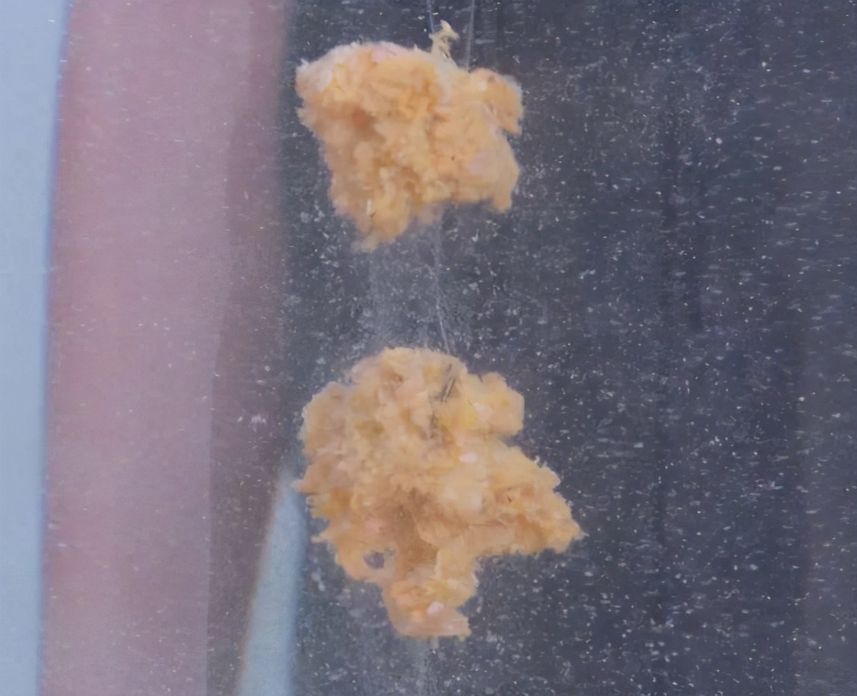 拉饵开不出丝是怎么回事,拉饵拉不起来什么原因