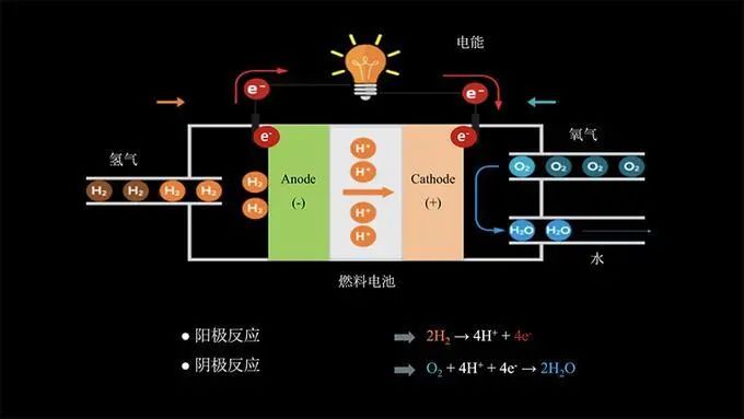 揭秘：天山生物如何成妖？指数大跌怎样逆市赚钞票？