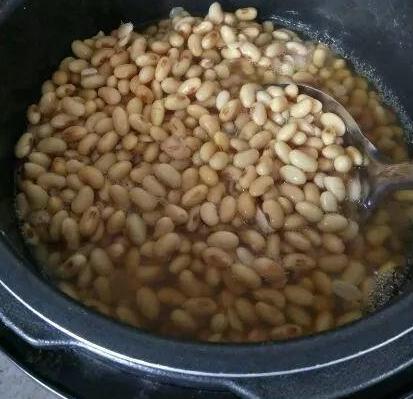 盆栽绿萝怎样才能长得茂盛,小盆栽绿萝怎么养才能更旺盛