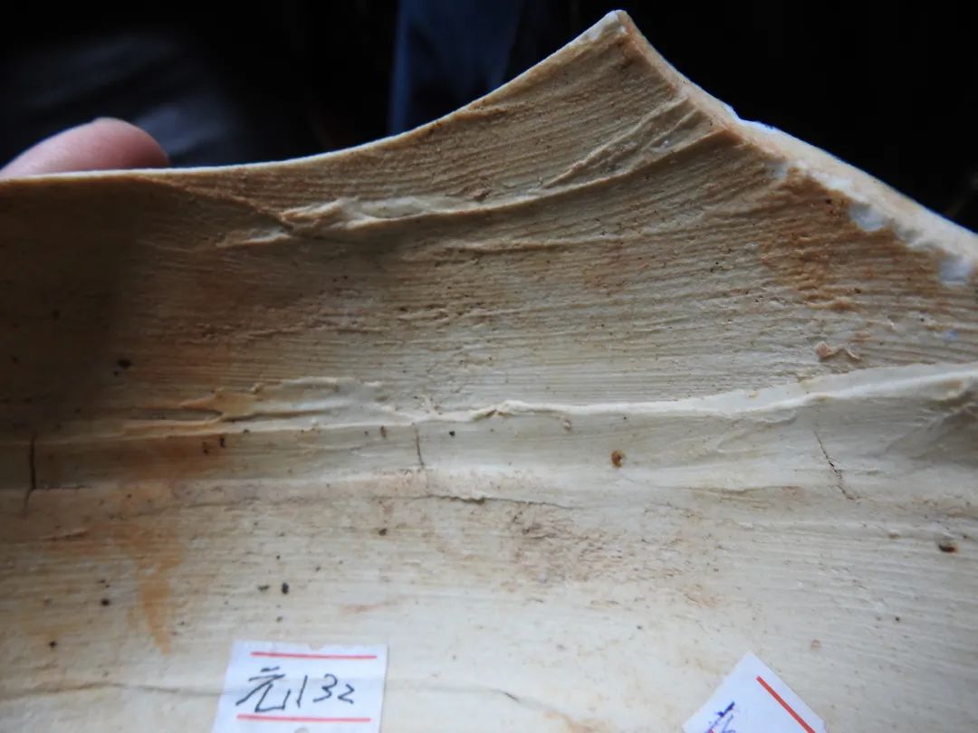 鍏冮潚鑺卞寽鐪熷搧鐗瑰緛,姘戠獞鍏冮潚鑺辩鐗瑰緛