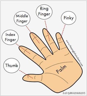 三年级上册英语人体部位怎么读,英语人体部位教读