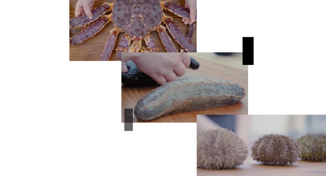 哥本哈根旅行视频,哥本哈根noma餐厅效果图