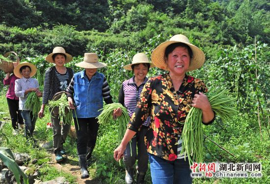 自产自销的蜂蜜属于三无产品吗,蜂蜜出售属于三无产品吗