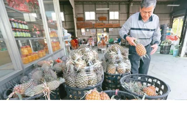 台湾终于等来了凤梨“接盘侠”?