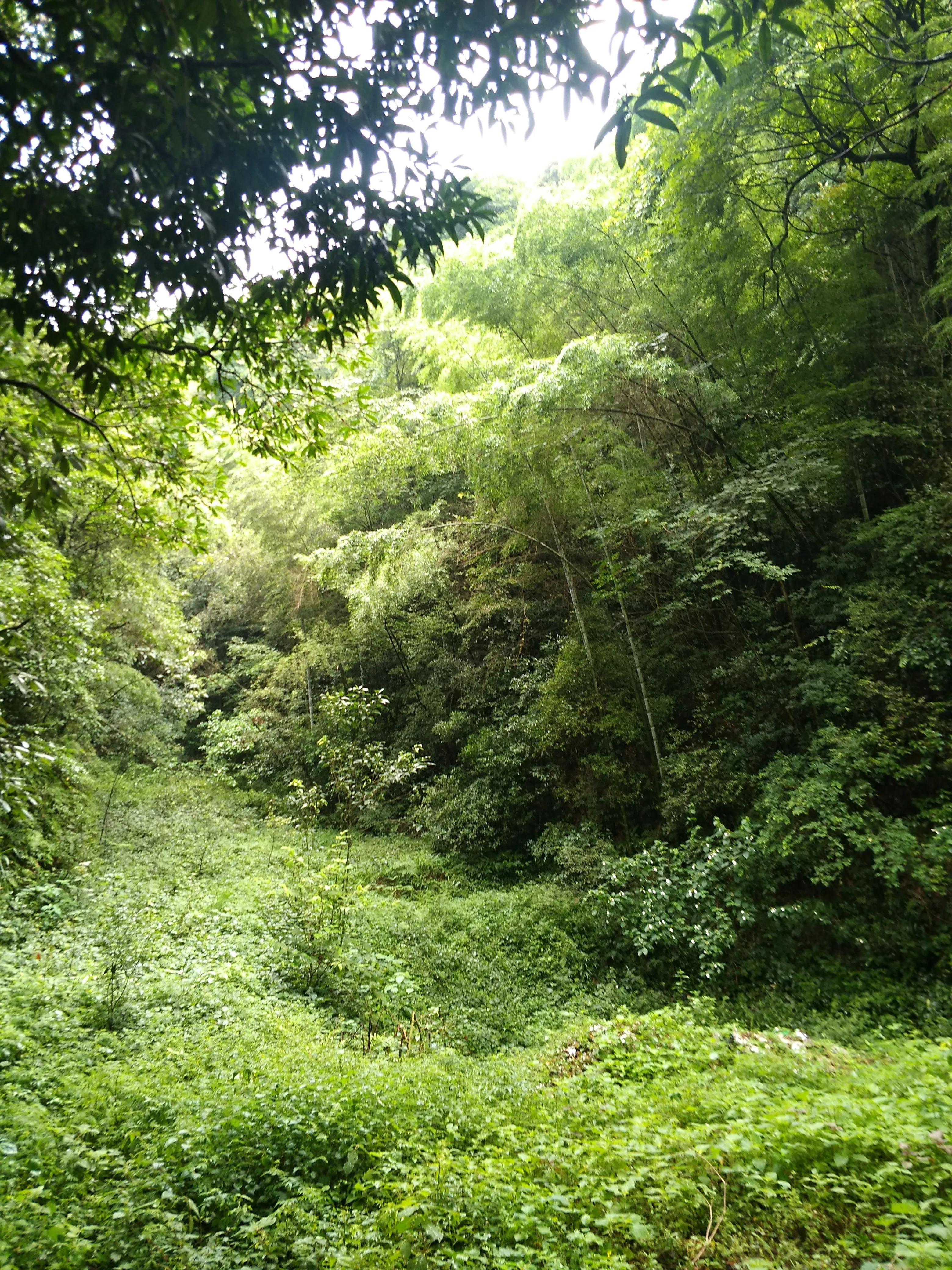 湖南常德花岩溪古村,湖南常德桃源县花岩溪