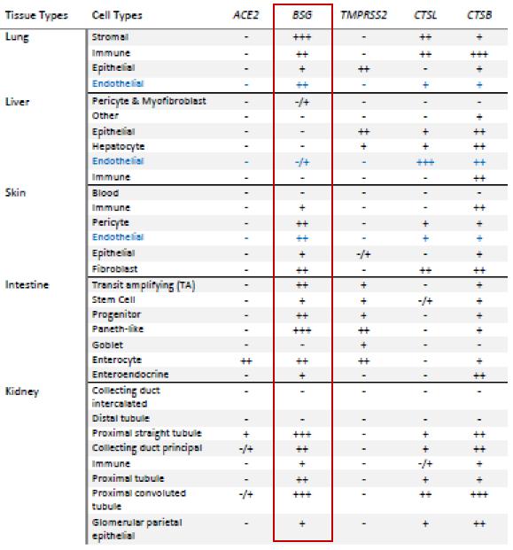 中医科学院任丽丽,任丽丽