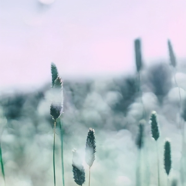 只因太轻信，被骗50000元