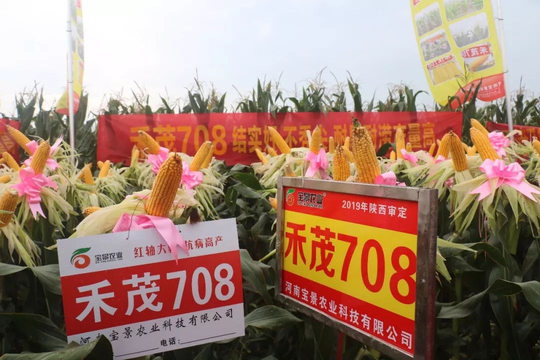 宝景农业,转变思路种地挣钱