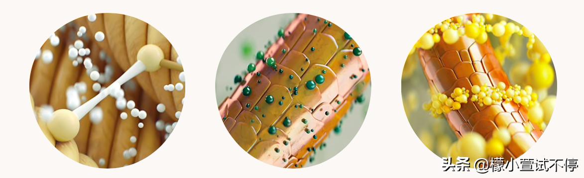 2020八月新品-给你的肌肤喝杯MISSHA果汁吧