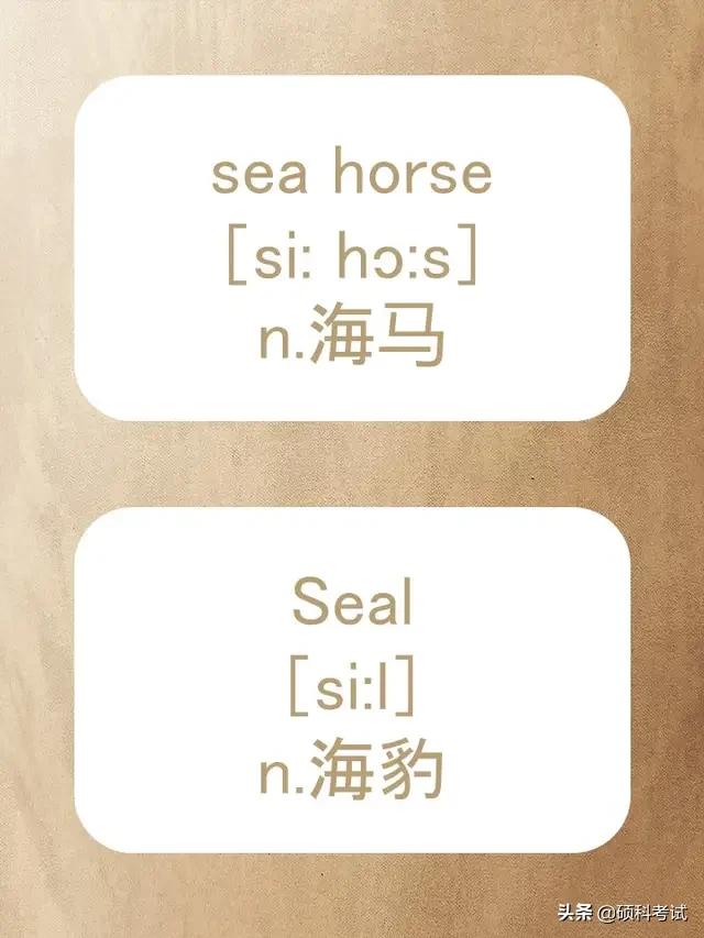 动物的英文拼写及音标,关于动物的单词及音标