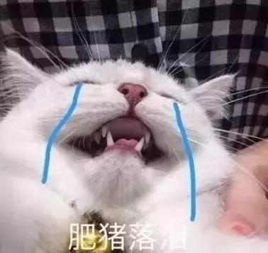 热炸！四川这些小众避暑佳境，光看图就能凉快10℃