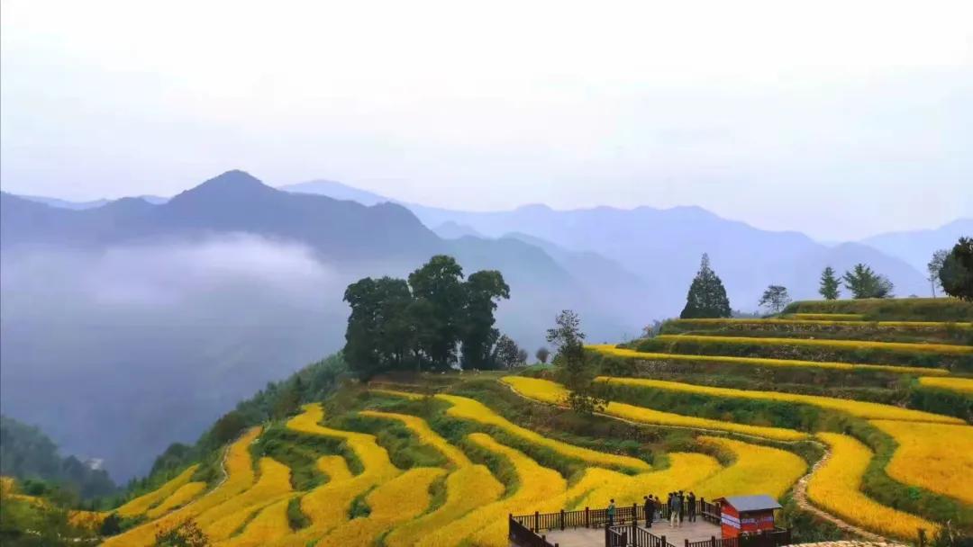 杭州最佳赏秋路线推荐,杭州附近赏秋的地方