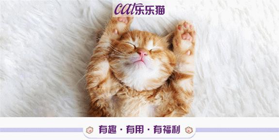 逗猫咪玩它喜欢咬人是什么原因,猫咪喜欢轻轻咬人是什么意思