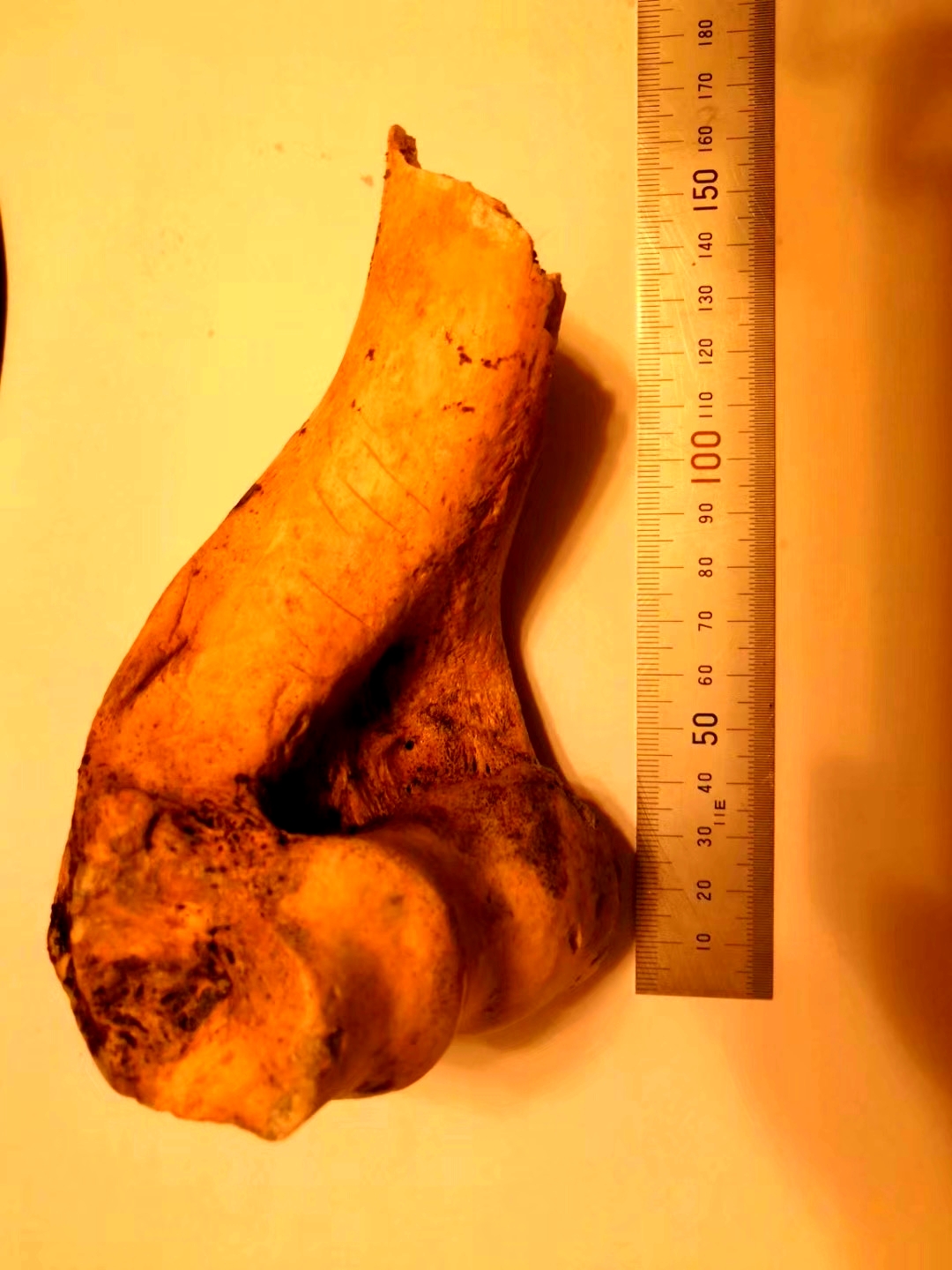 神秘溶洞息烽,探寻神秘洞穴