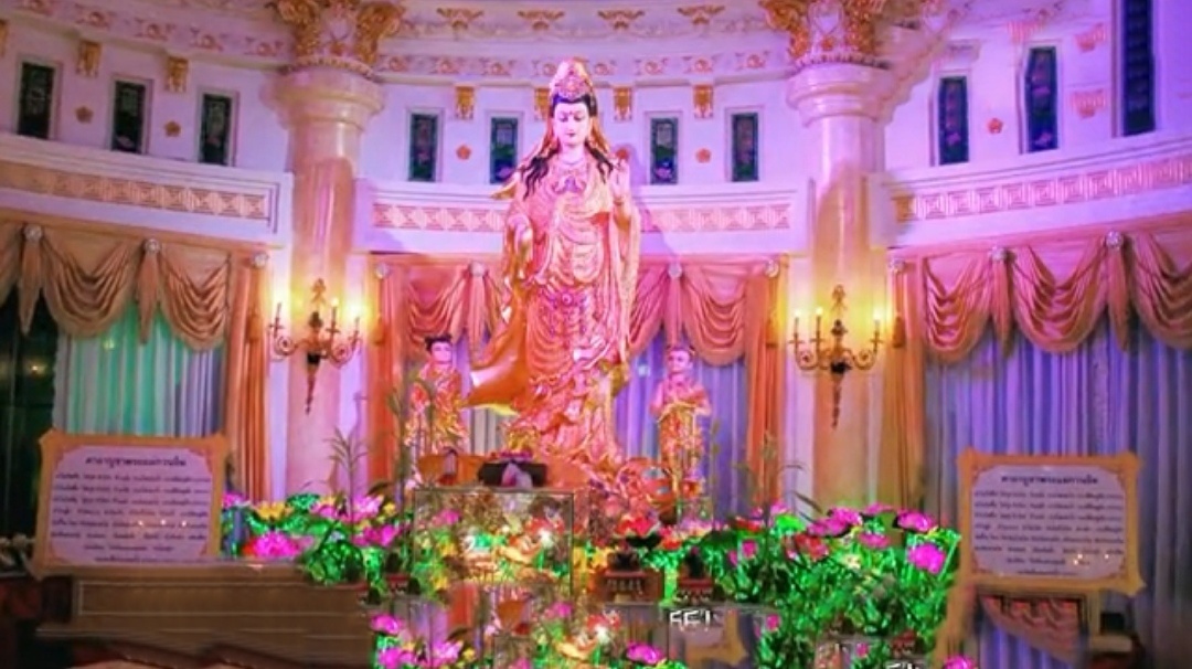 阿莲的聊天,阿莲聊短视频