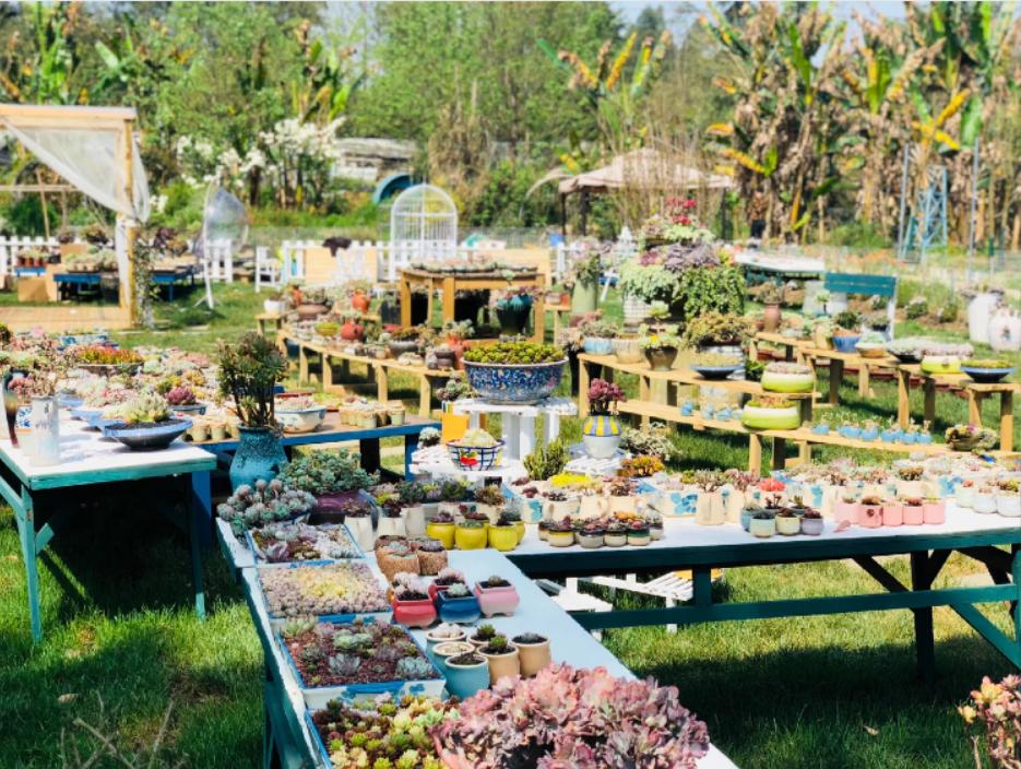 五一小众宝藏旅行地成都周边,成都旅行打卡地