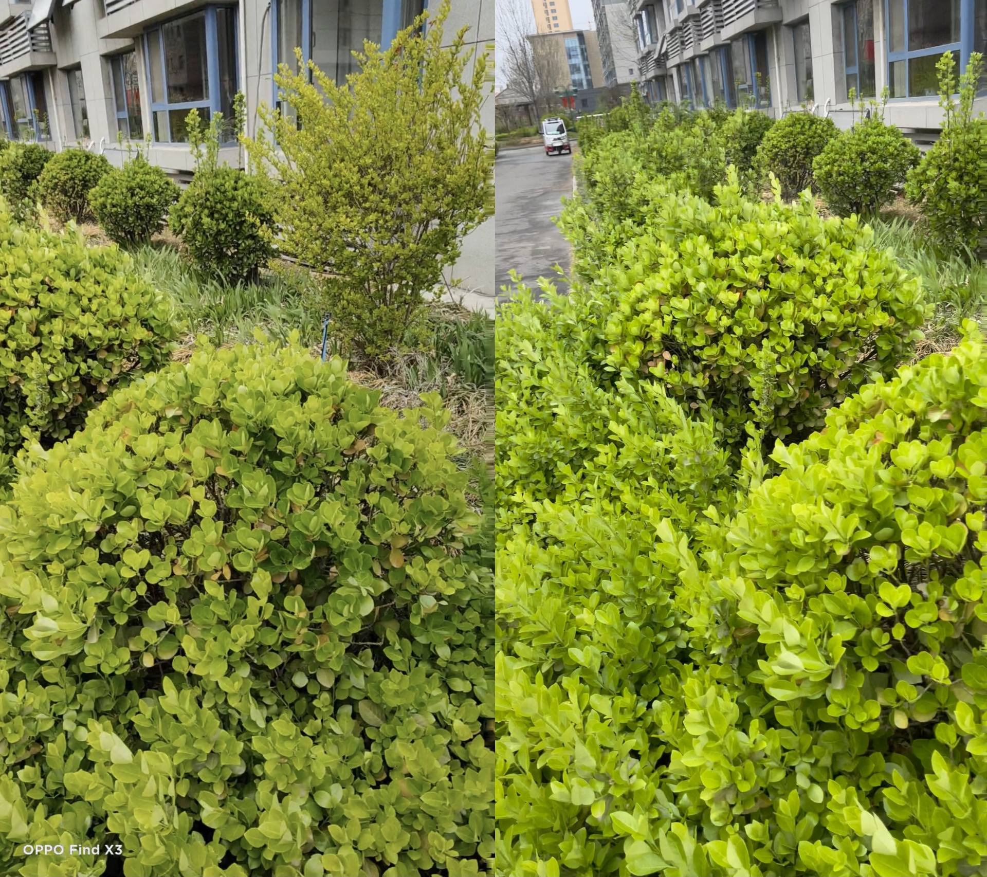 oppofindx3pro能和iphone比吗,oppofindx3真实体验