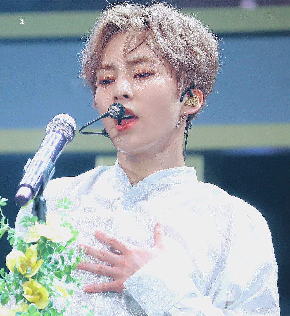 金珉锡makemateone选秀exo,金珉锡solo预售