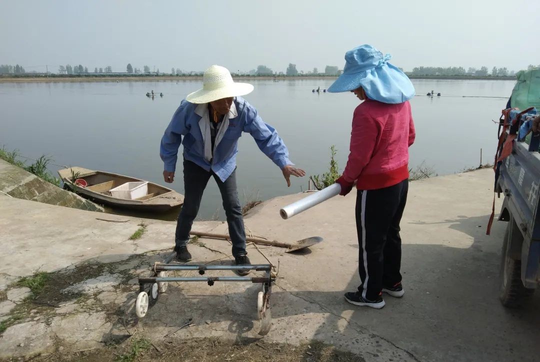 守望孤独的句子,守望大山里的老人