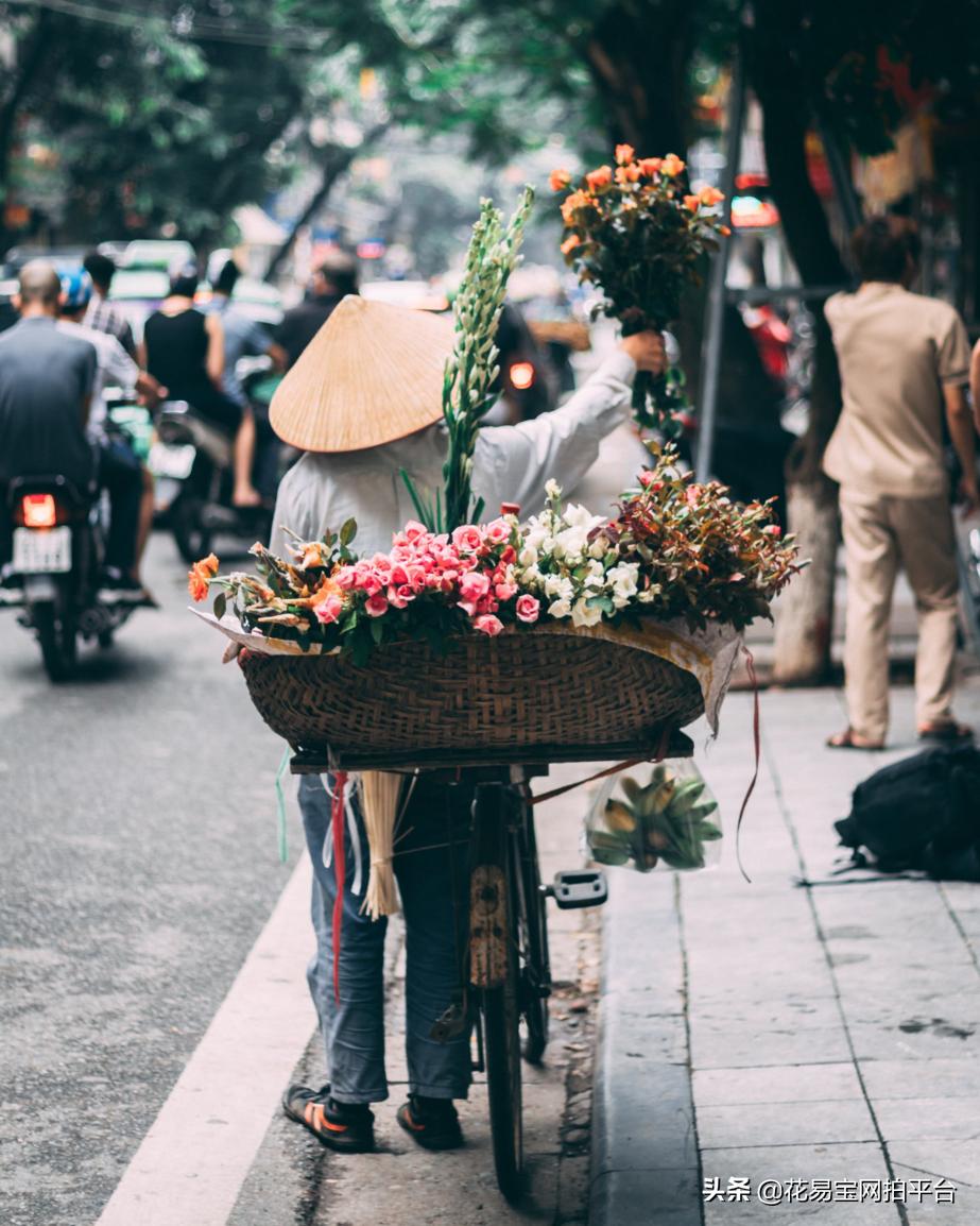 实体花店国内市场分析,花店市场现状分析的不足