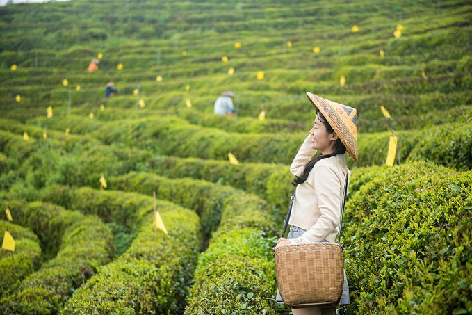 疫情对湖南这里居然丝毫没有影响！0病发，还超级适合徒步旅行！