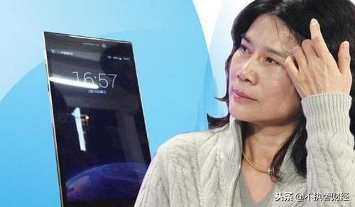 董明珠投资的新能源是什么,董明珠为什么退出银隆新能源