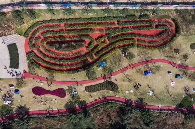 到大珠山赴一场春天之约,铁山坪铜锣峡攻略