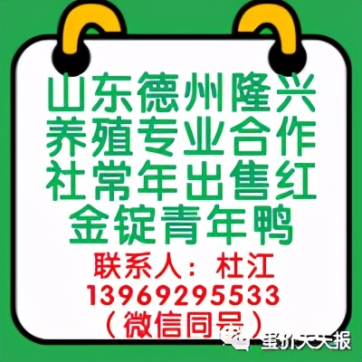 2019年1月24号全国鸭蛋价格,2022年4月12日鸭蛋价