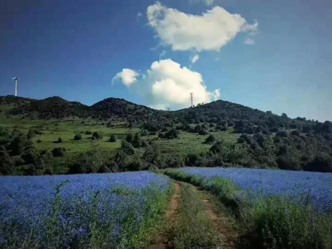 原创散文|赵泽伦​：一路向西，请给邓川一支画笔