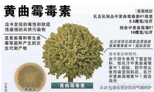 采用硫磺熏蒸后的中药材,硫磺熏蒸中药材现状及解决措施