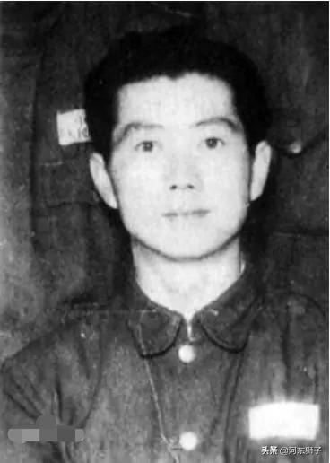 四野三个朝鲜师的来历,四野三个朝鲜师