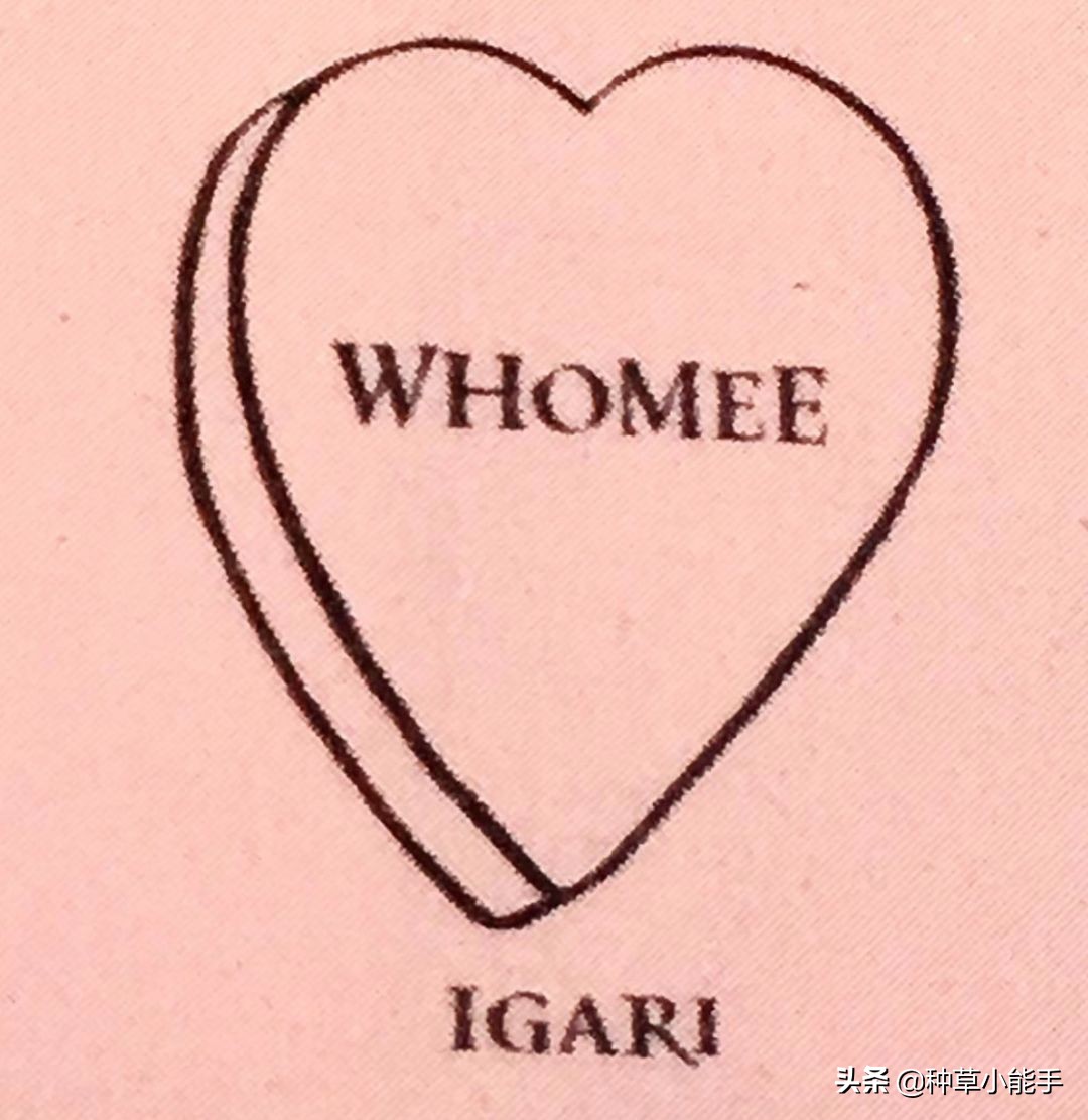 日韩有哪些纯天然的护肤品,韩国女生真正必用的品牌