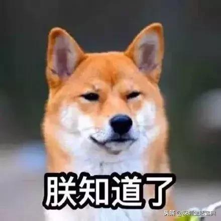 深圳车牌摇号怎么重新申请编码,深圳车牌摇号过期怎么重新申请