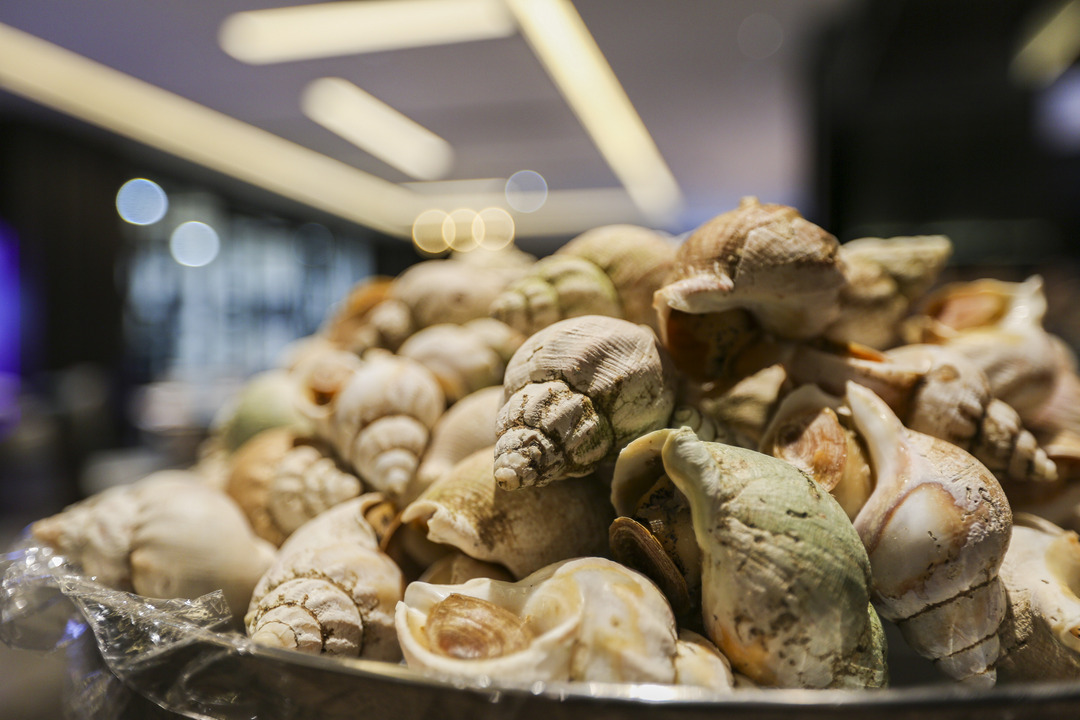 任性的重庆渝融豪生：坐落三轨之上，便捷扫街购物，允许携带宠物