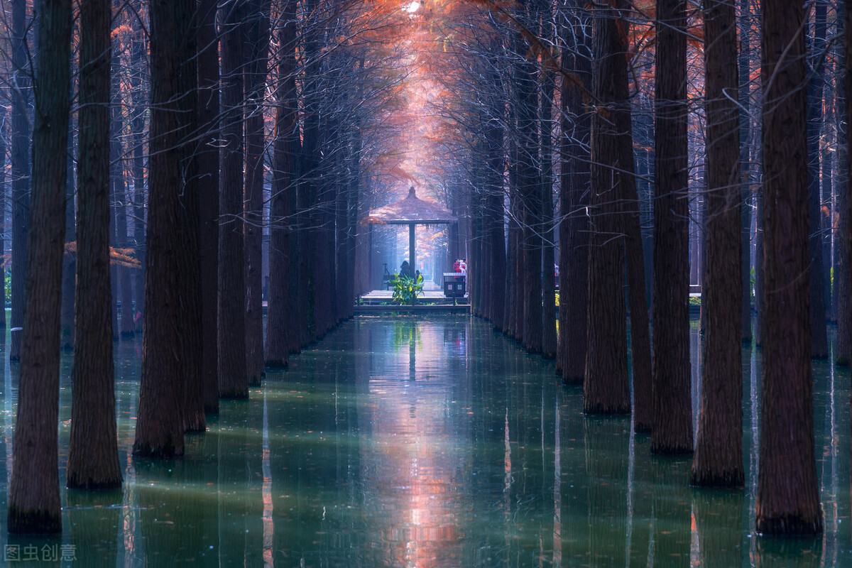 没有梦想的人生是不完整的,没有梦想的人生是平庸的问题