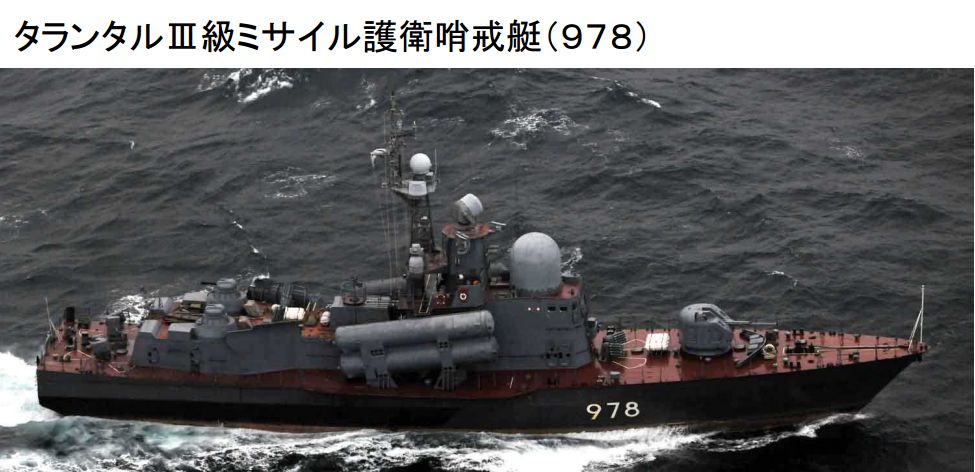 毒蜘蛛巨无霸,真正的毒蜘蛛