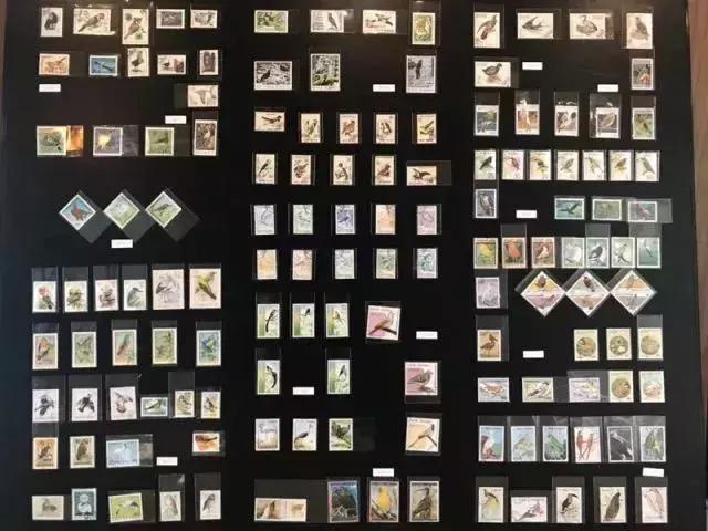 杭州西湖隐于山林之间的酒店,西湖云端酒店