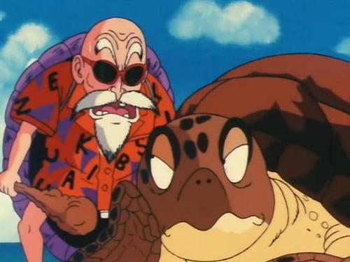 海洋千年古巨龟,世界上真正的千年海龟