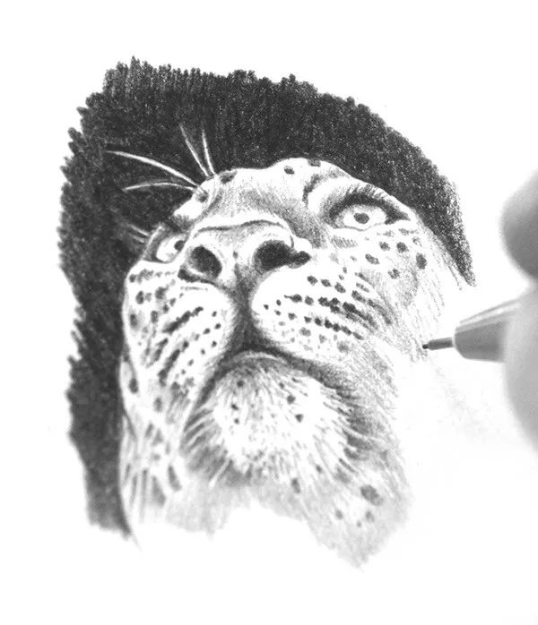 创意包装设计简约也是一种美,令人心动的10款包装设计