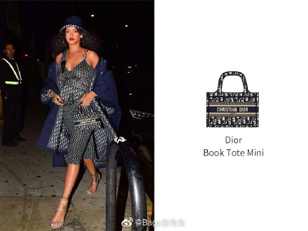 奚梦瑶的包包有哪些,奚梦瑶同款mini包