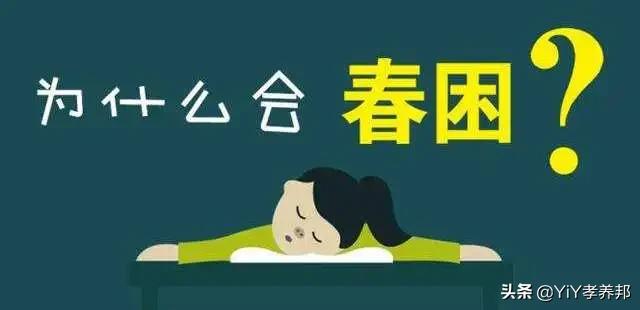 好困呀想睡觉了怎么回事,春天到了每天都困怎么办