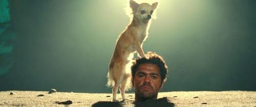 值得你宅在家三天的50部经典电影,特别推荐9部适合在家看的电影