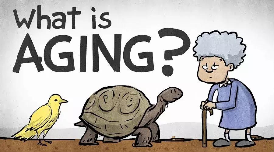 盘点学习英语的11大好处，你是出于哪种目的才学英语的？