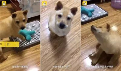 卖家秀vs买家秀破洞牛仔裤胖女,逼疯买家秀vs卖家秀大河向东流