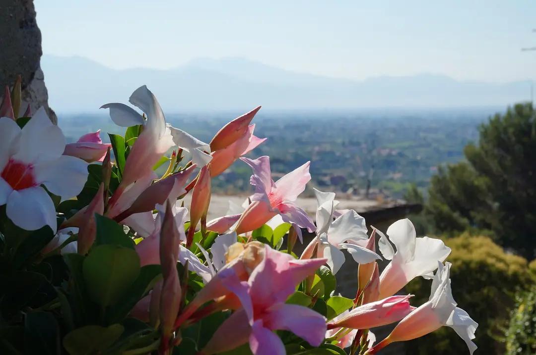 跟着神话去探索拉奇奥：拉努维奥（Lanuvio）