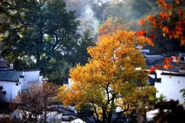 重阳游安徽,这几个登高处,今年美出了新高度