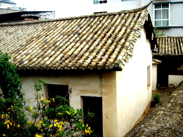 昆明轿子雪山自驾一日游攻略,昆明周边一日游自驾游路线推荐